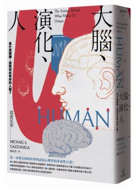 大腦、演化、人